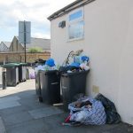 recycling bins lined up on a residential street