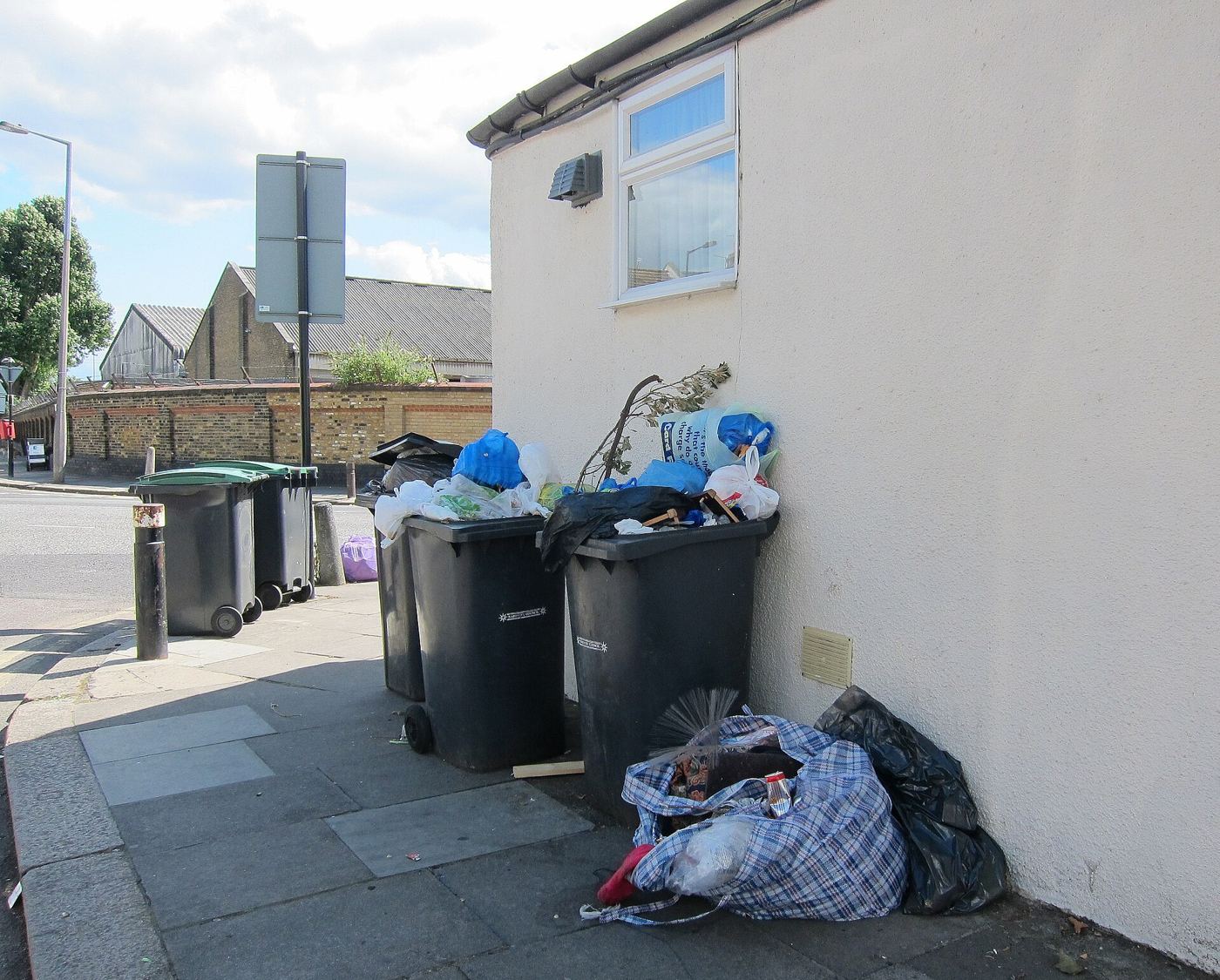 recycling bins lined up on a residential street
