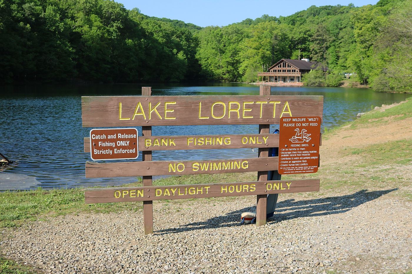 People swimming in a lake