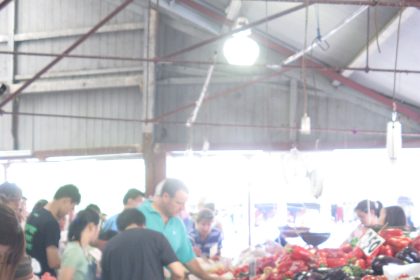 Fresh vegetables arranged on a market stall